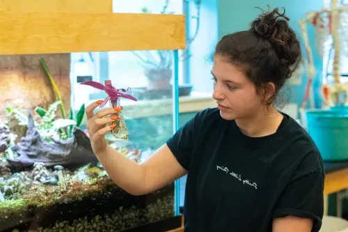 A student holds up a plant in a beaker in front of a large terrarium